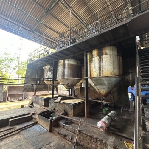 Castor Oil Slide 1