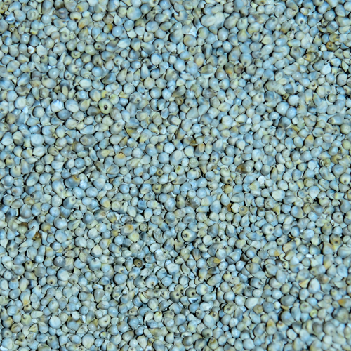 Green-Millet_Raw.png